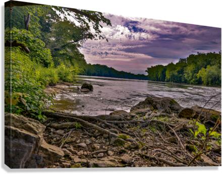 Waterscape Park Canvas Print