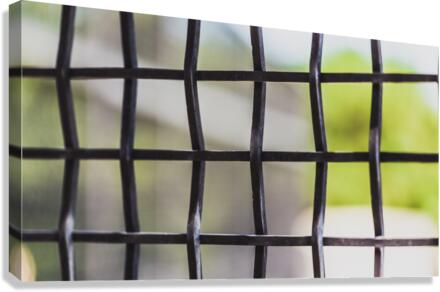 Through the Screen Canvas Print