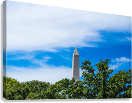 Distant D.C. Canvas Print