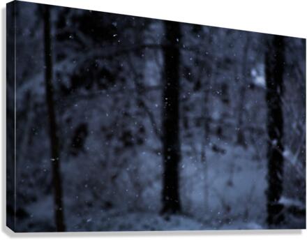 Quiet Snowfall Canvas Print