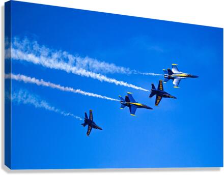 Formation Canvas Print