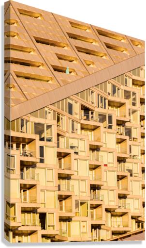 Modern Life Canvas Print