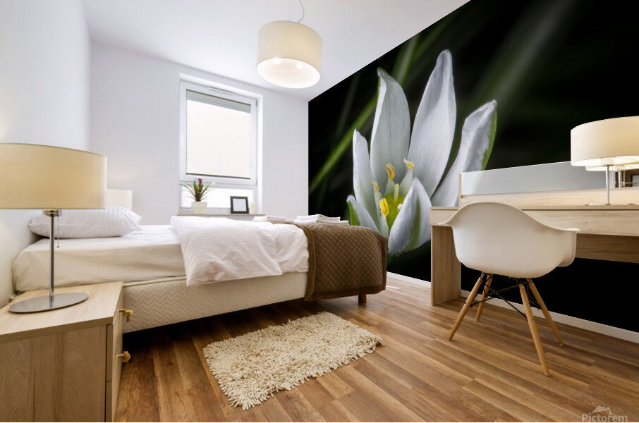 White Flower Mural print