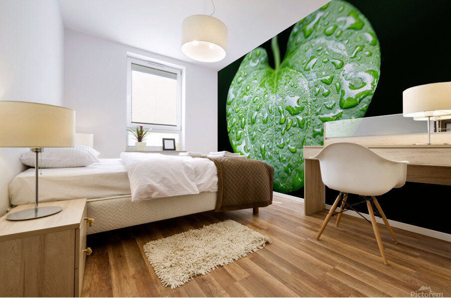 Simple Rain Mural print