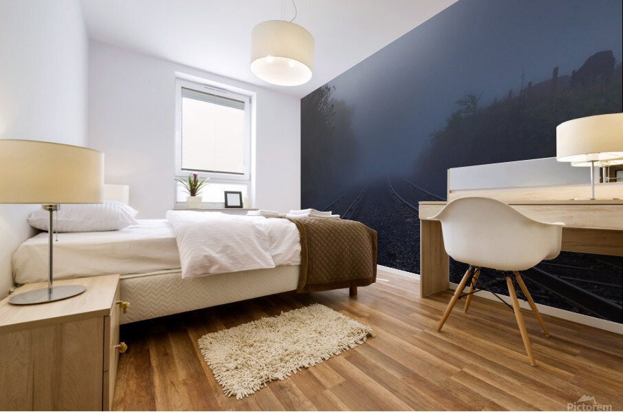 Early Morning Train Tracks Mural print