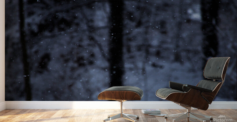 Quiet Snowfall Wall Murals