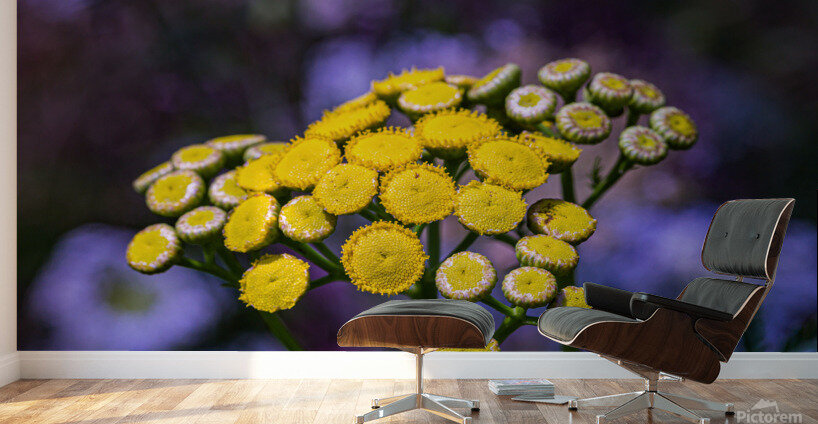 A Natural Bouquet Wall Murals