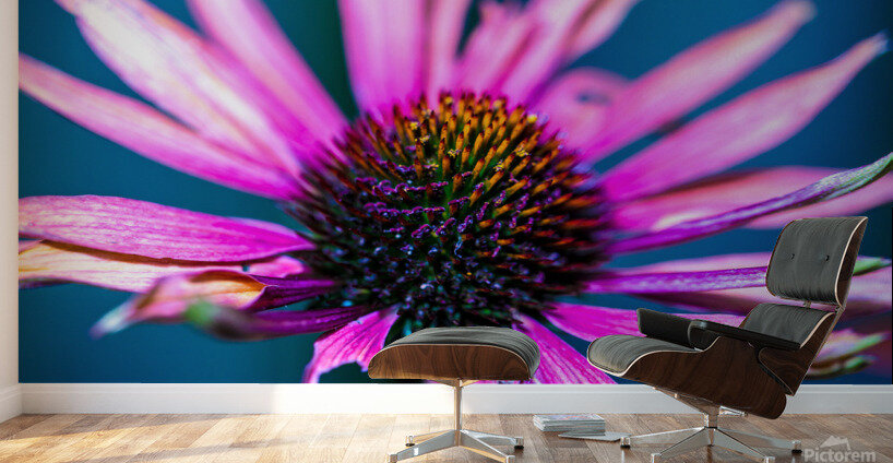 Purple Flower Wall Murals