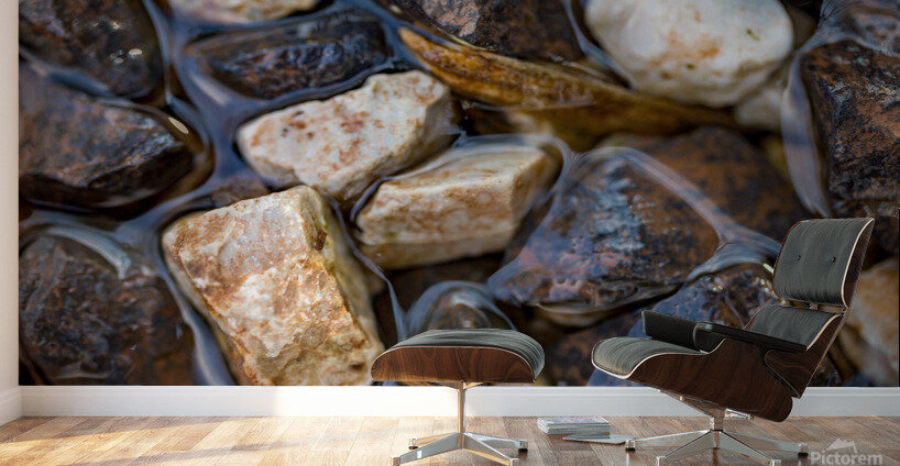 Wet Rocks Wall Murals