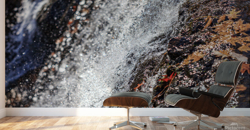 Still Falls Wall Murals