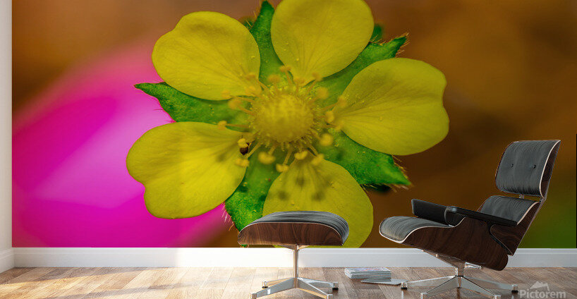 On a Mission Wall Murals