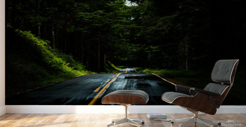 Roads After Rains Wall Murals