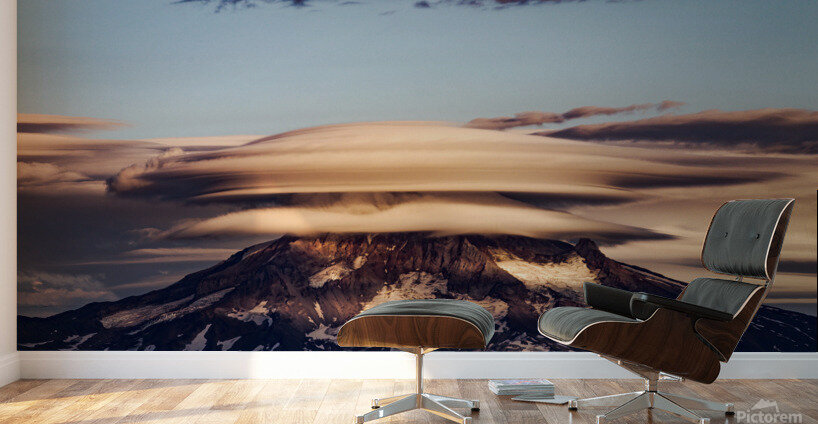 Across the Wilderness Wall Murals