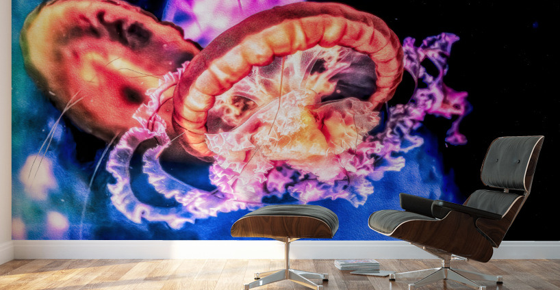 Im In Love With The Jellyfish Wall Murals