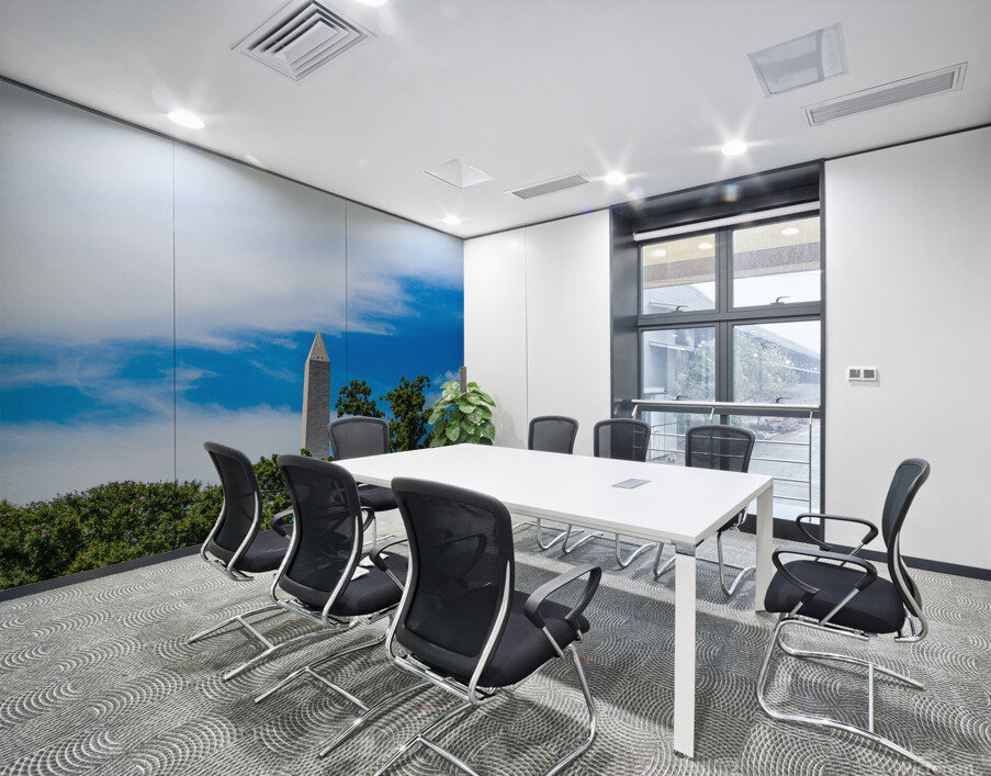 Distant D.C. Wall Printing