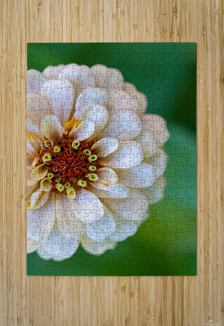 Sweet Flower Nativ Puzzle printing