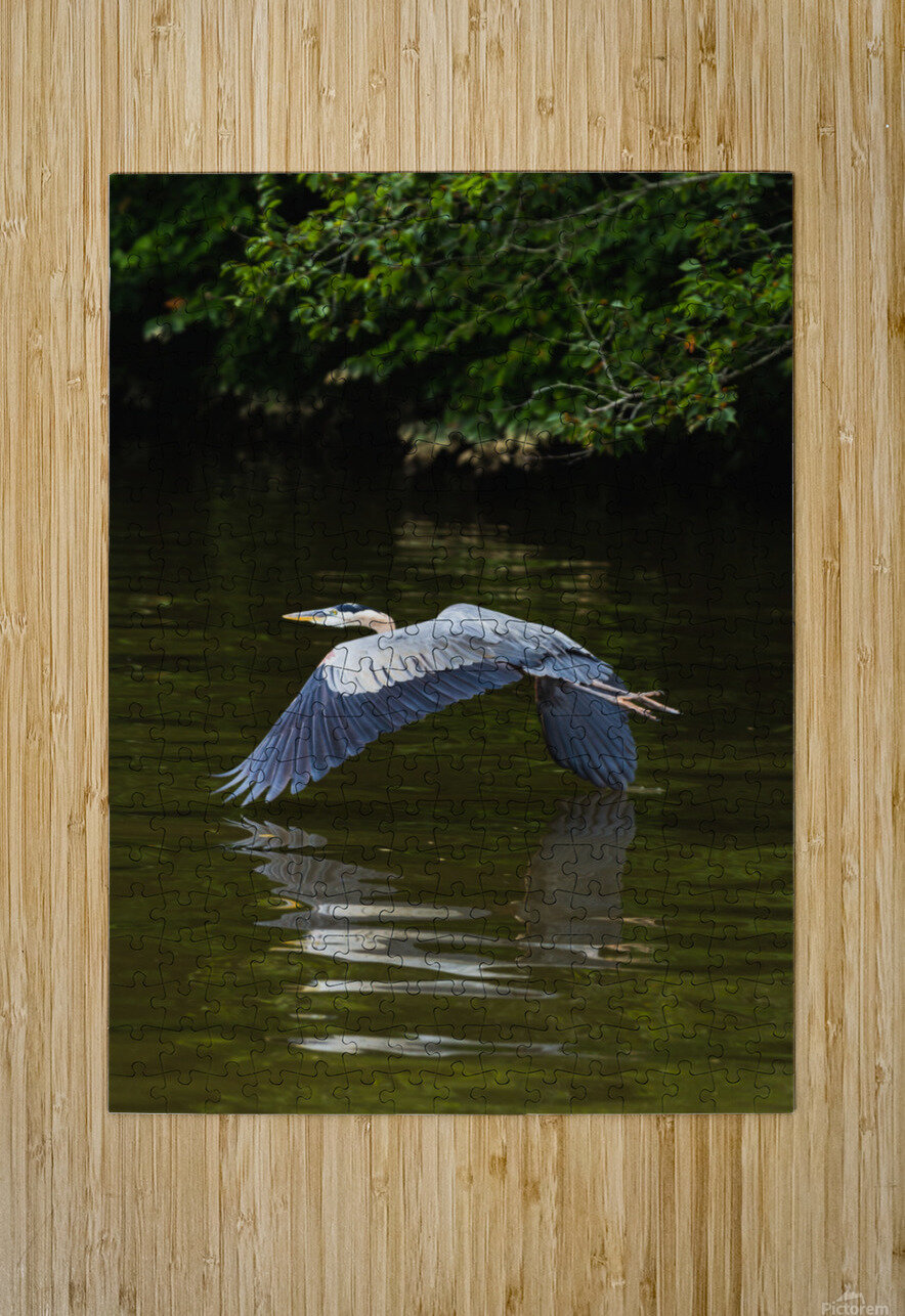 Heron Takes Flight Nativ Puzzle printing