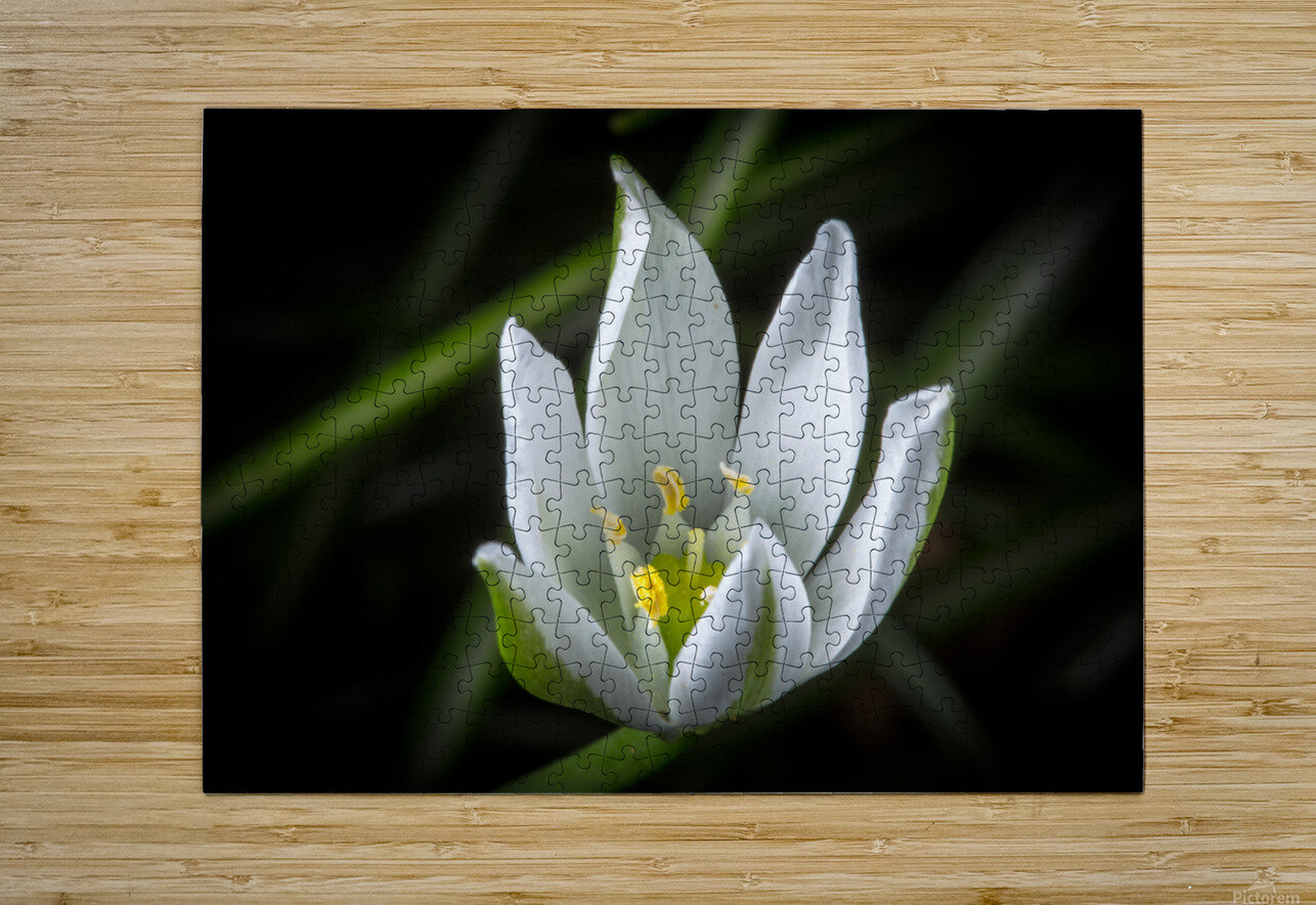 White Flower Nativ Puzzle printing