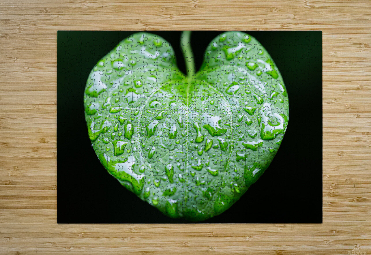 Simple Rain Nativ Puzzle printing