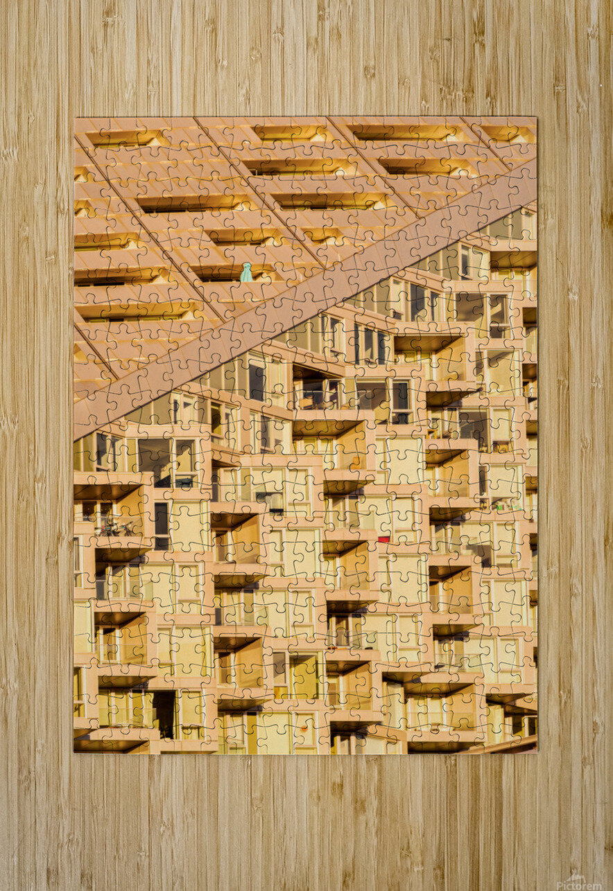 Modern Life Nativ Puzzle printing