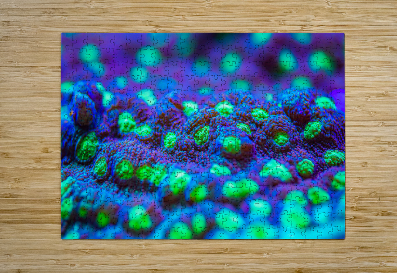 Deep Sea Anemone Nativ Puzzle printing