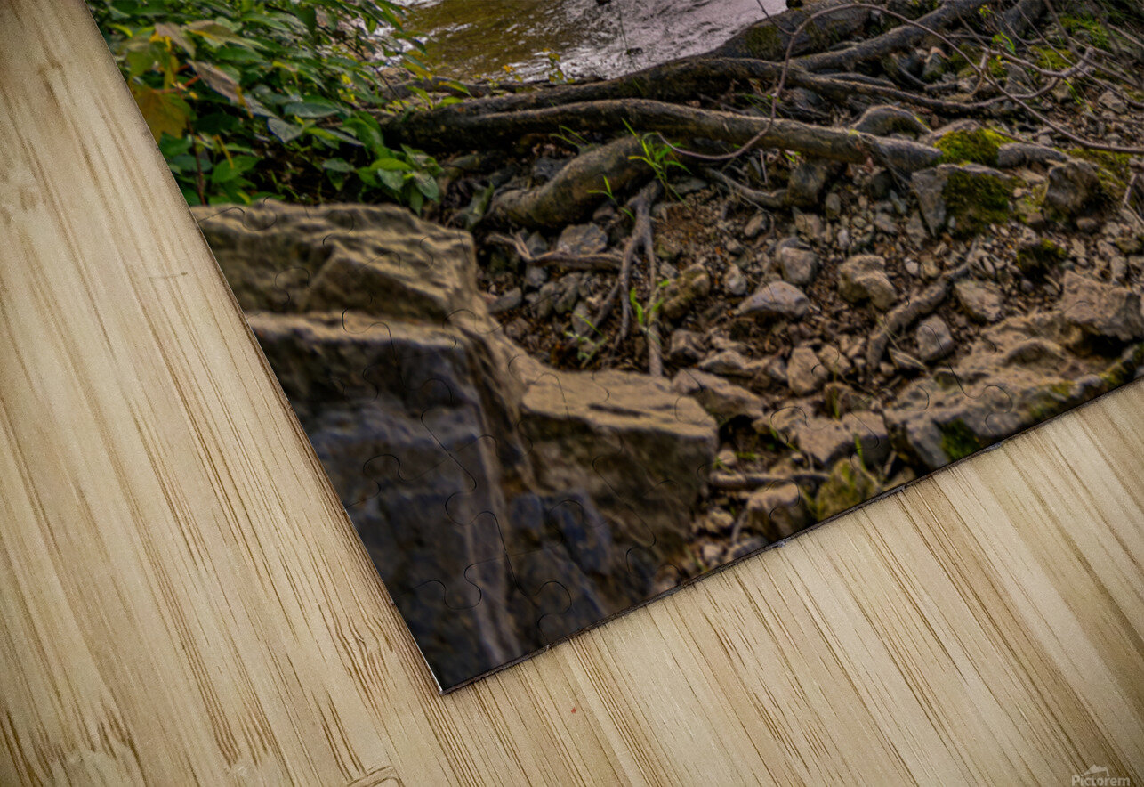 Waterscape Park Nativ Puzzle