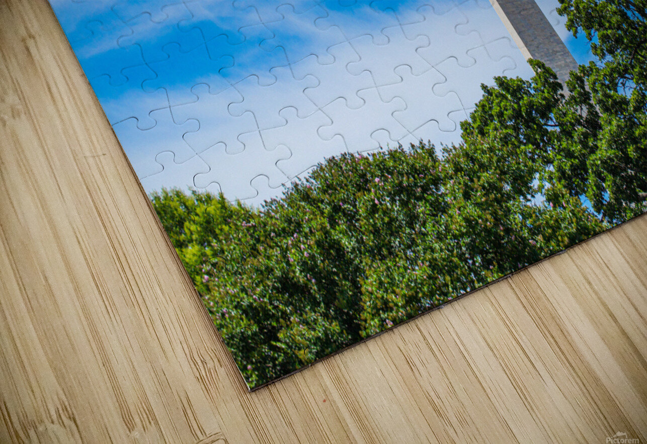 Distant D.C. Nativ Puzzle