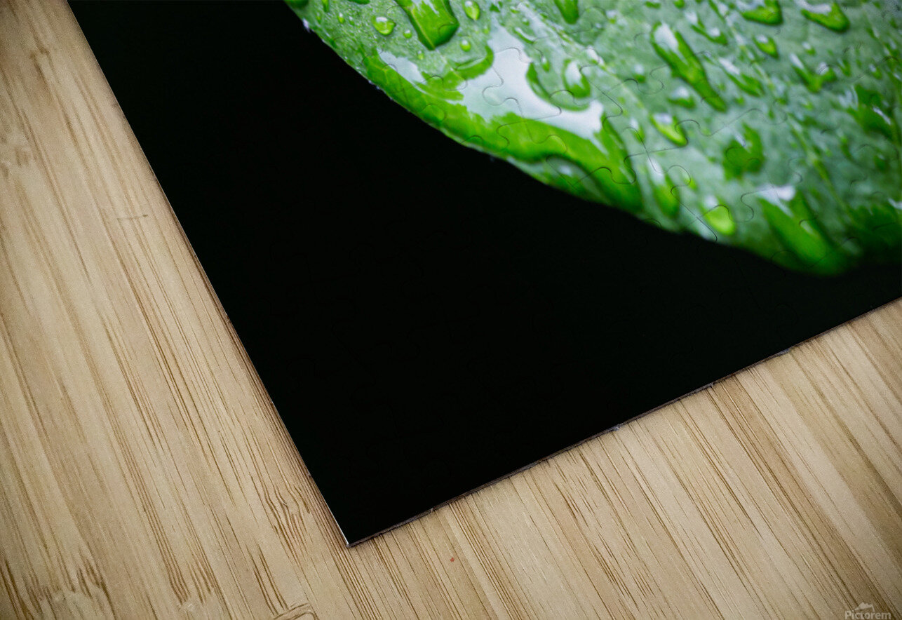 Simple Rain Nativ Puzzle