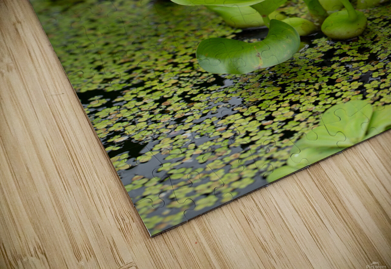 Little Water Nativ Puzzle