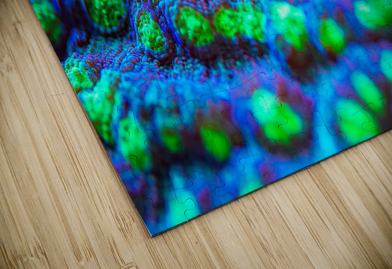 Deep Sea Anemone Nativ Puzzle