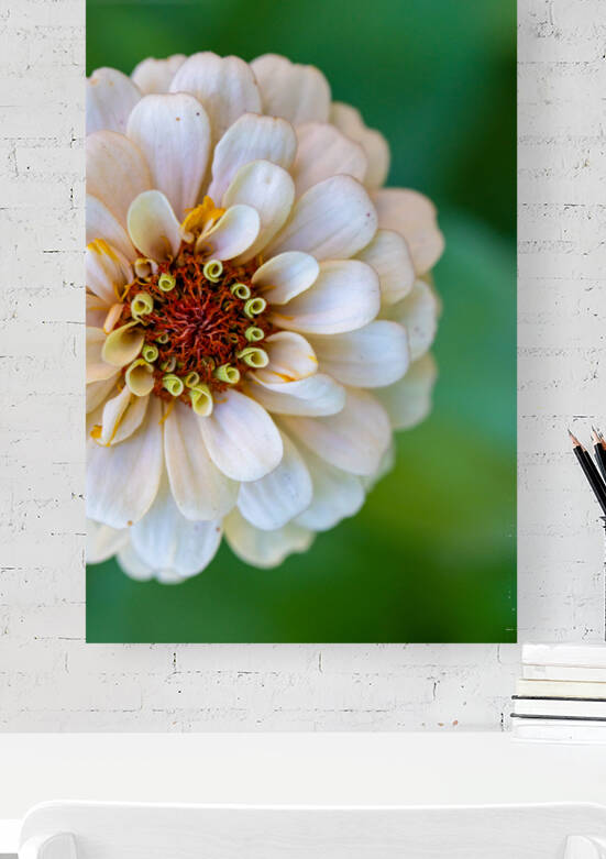 Sweet Flower by Nativ