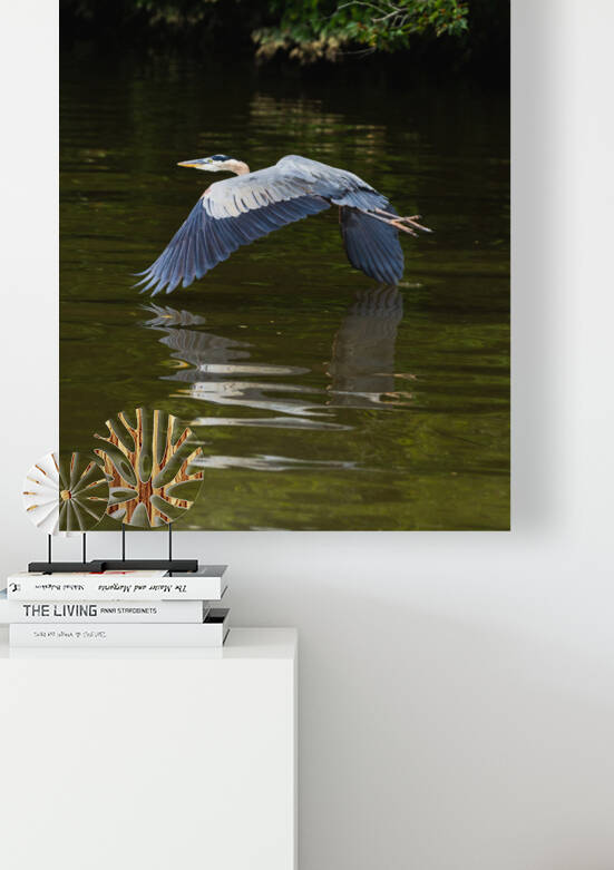 Heron Takes Flight by Nativ