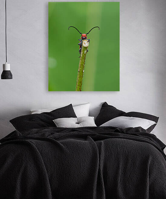 Hello Friend by Nativ