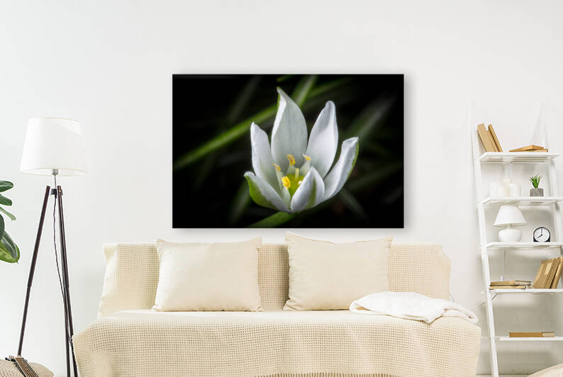 White Flower by Nativ