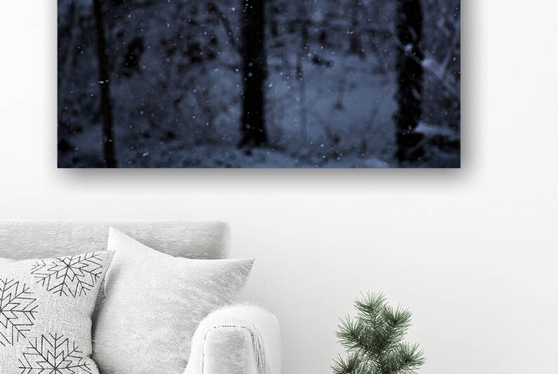 Quiet Snowfall by Nativ