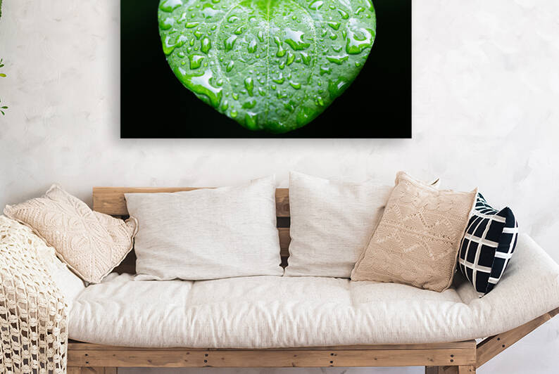 Simple Rain by Nativ