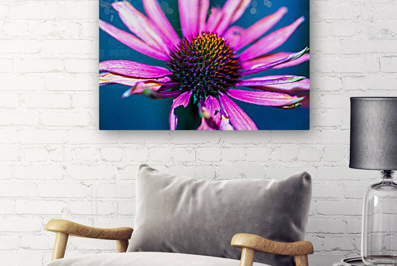 Purple Flower by Nativ