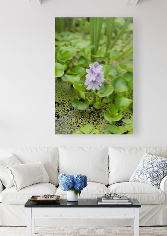 Little Water by Nativ