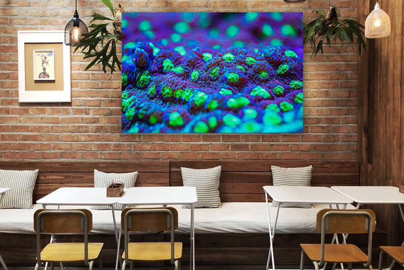 Deep Sea Anemone by Nativ